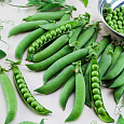 Горох овощной Глориоза