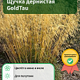 Щучка дернистая GoldTau